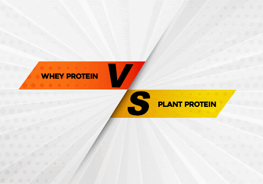 Which is Better Plant Protein or Whey Protein, Check the Facts