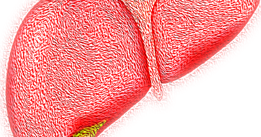  Supplements for a healthy liver