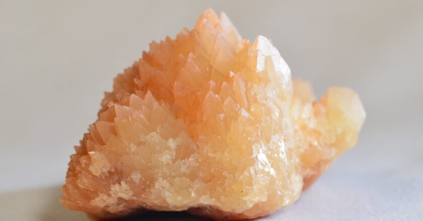  Calcium Citrate Powder by NOW Foods 