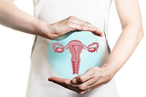      Family Planning : Understanding the Female Reproductive System