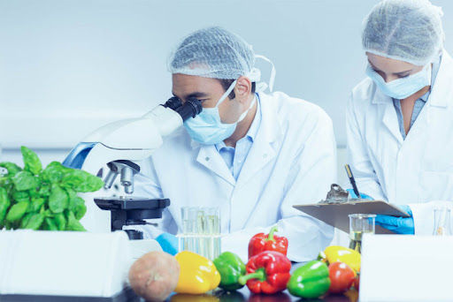 Niche Food Product Development: Tapping into Trends with Experts
