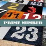 The Infinite World of Prime Numbers