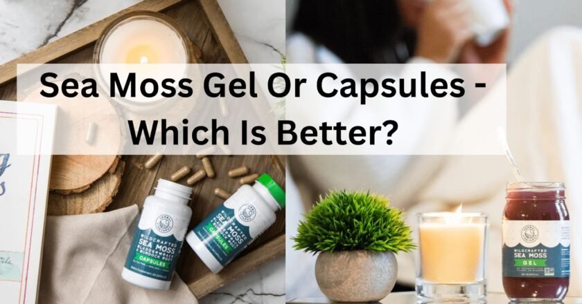 Sea Moss Gel Or Capsules – Which Is Better?