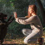 Misconceptions About Private Dog Training You Should not Believe