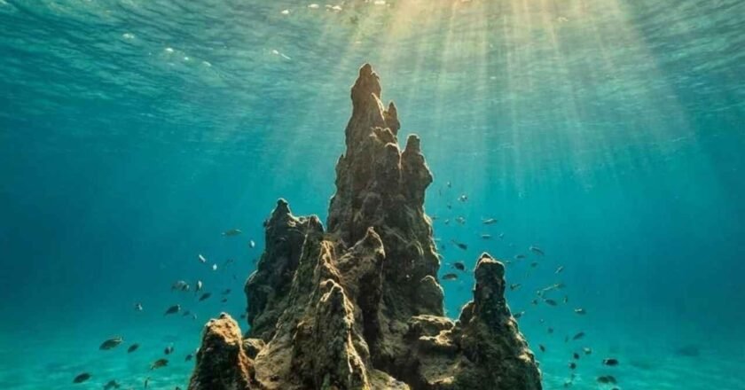 Sail Rock Koh Tao Diving: The Guide to Thailand’s Most Underwater Formation