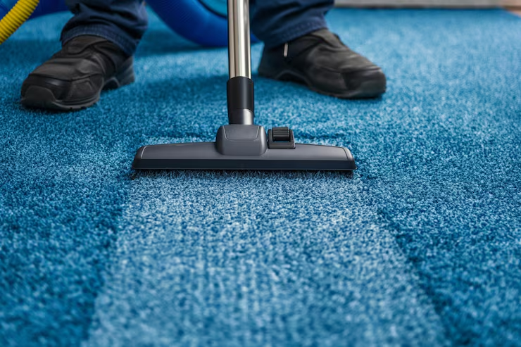 When Do You Need Professional Carpet Cleaning Services?