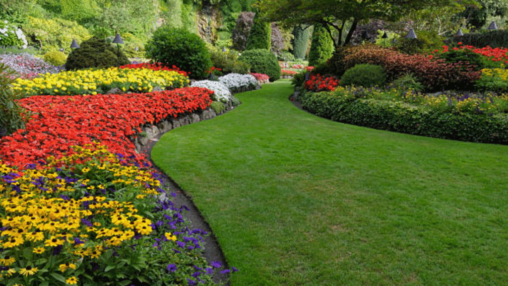 Design a Low-Maintenance Landscape in Fort Worth’s Climate