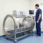 Veterinary Hyperbaric Oxygen Therapy: Healing & Recovery Benefits