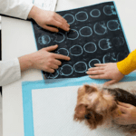 Advanced Veterinary Imaging: Diagnostics for Your Pet’s Health