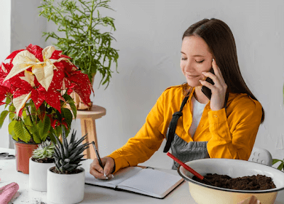 Buy Plants Online Delhi: Best Online Plant Delivery in Delhi