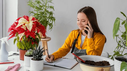 Buy Plants Online Delhi: Best Online Plant Delivery in Delhi