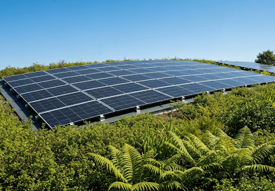 What to Expect from Roofing Solutions in 2026