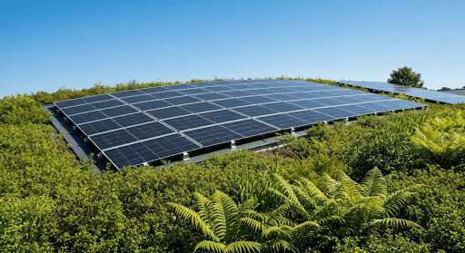 What to Expect from Roofing Solutions in 2026