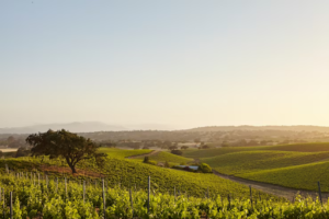 The Places Worth Going When You're Done Going Everywhere