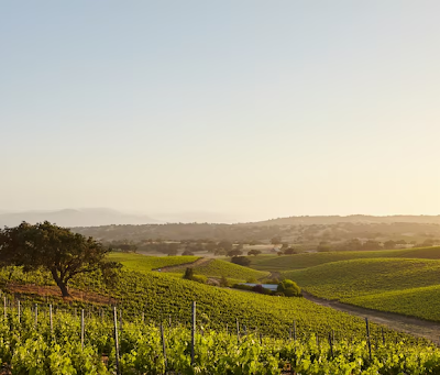The Places Worth Going When You’re Done Going Everywhere