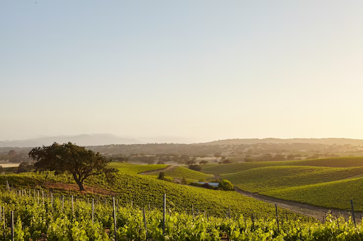 The Places Worth Going When You’re Done Going Everywhere